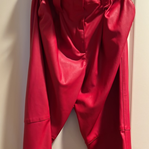 Red Leather Pinko Trousers - Picture 3 of 4